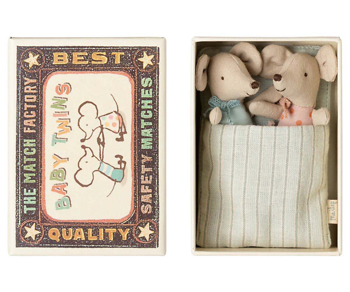 Baby Twins in Box