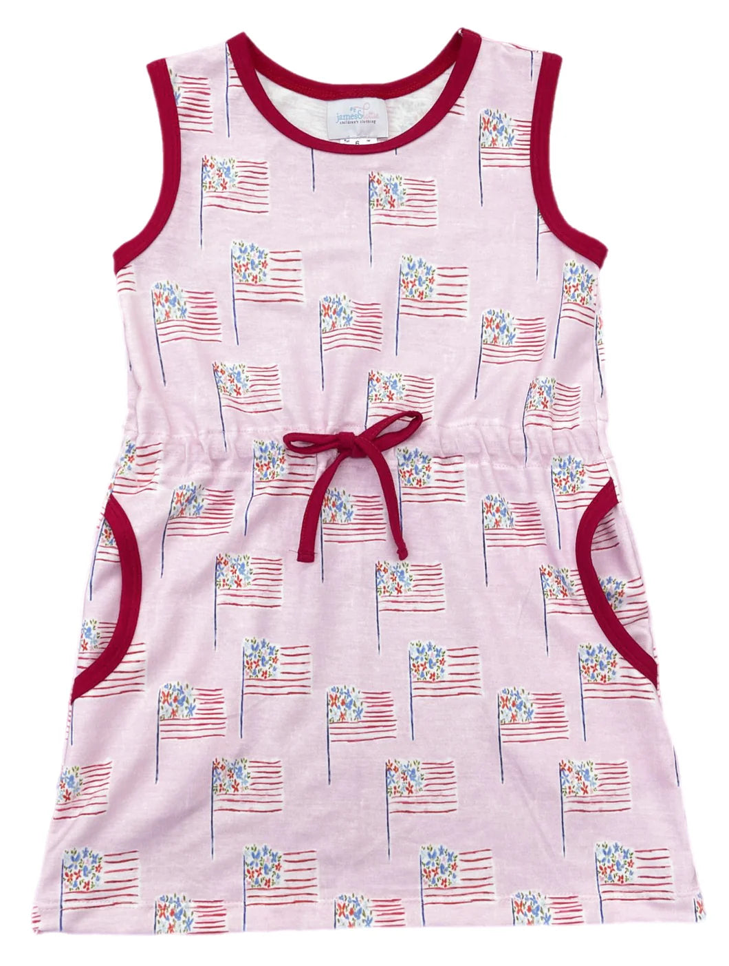 Pink Patriotic Flags Knit Camille Dress
