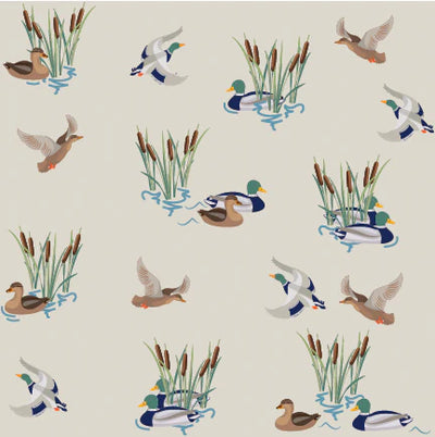 Quacky Adventure Once Upon a Time Footie