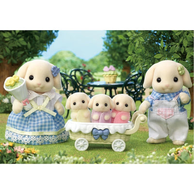 Flora Rabbit Family