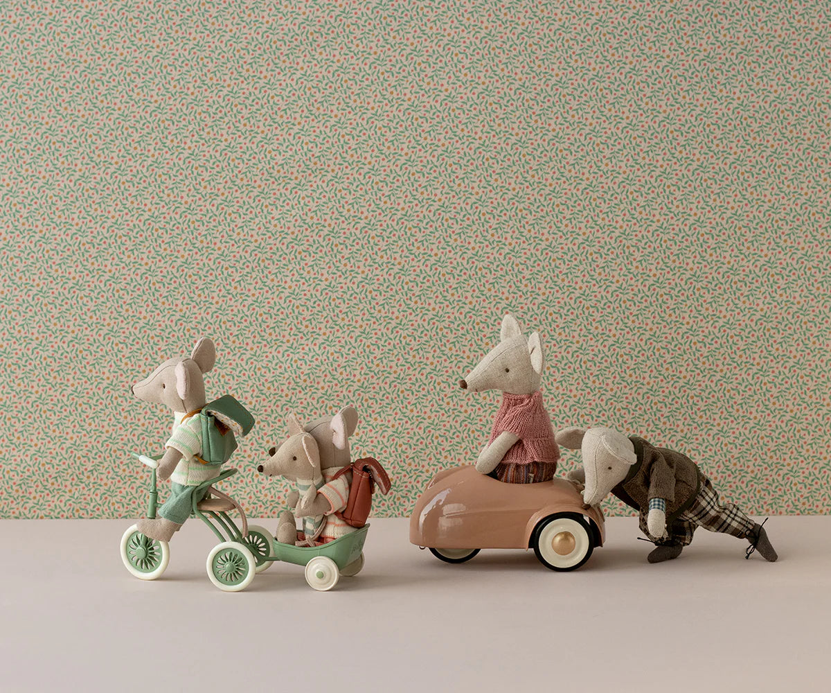 Abri a Tricycle, Mouse- Green