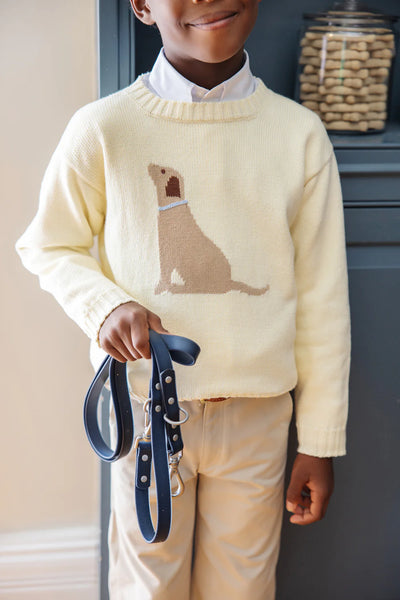 Palmetto Pearl With Dog Isaac's Intarsia Sweater (Unisex)