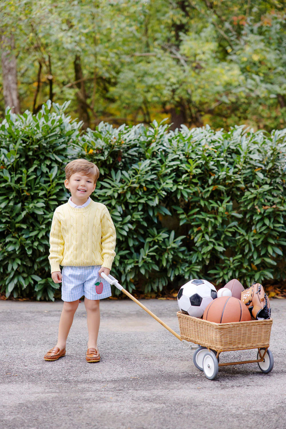 Buckhead Blue Gingham With Apple Applique Shelton Shorts