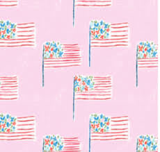 Pink Patriotic Flags Knit Camille Dress
