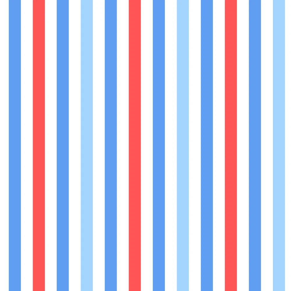 Patriotic Stripe Two Piece Swimsuit