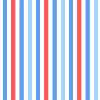 Patriotic Stripe Two Piece Swimsuit