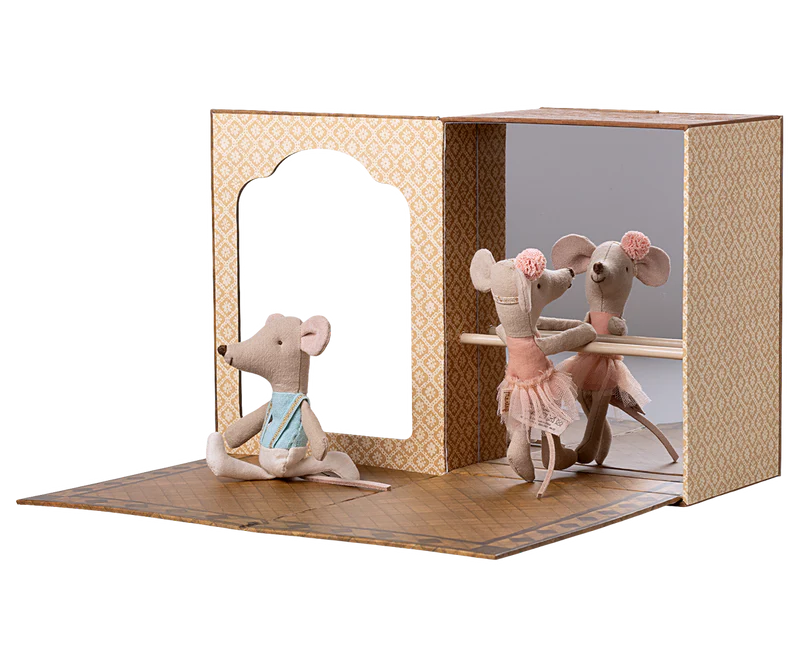 Ballet Mice in Dance Studio Little Sister Little Brother