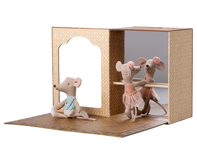 Ballet Mice in Dance Studio Little Sister Little Brother