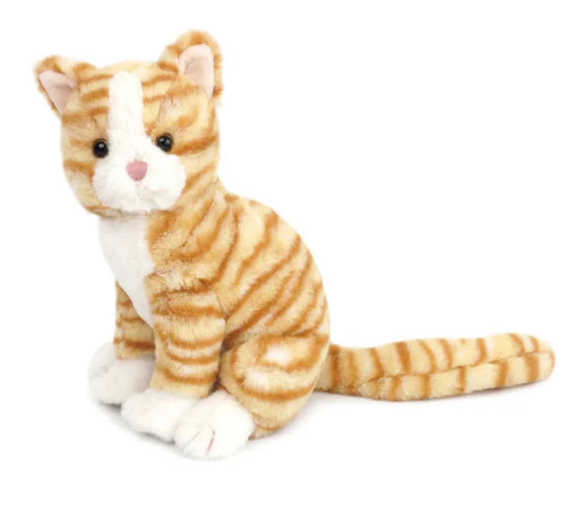 ChiChi Kitty