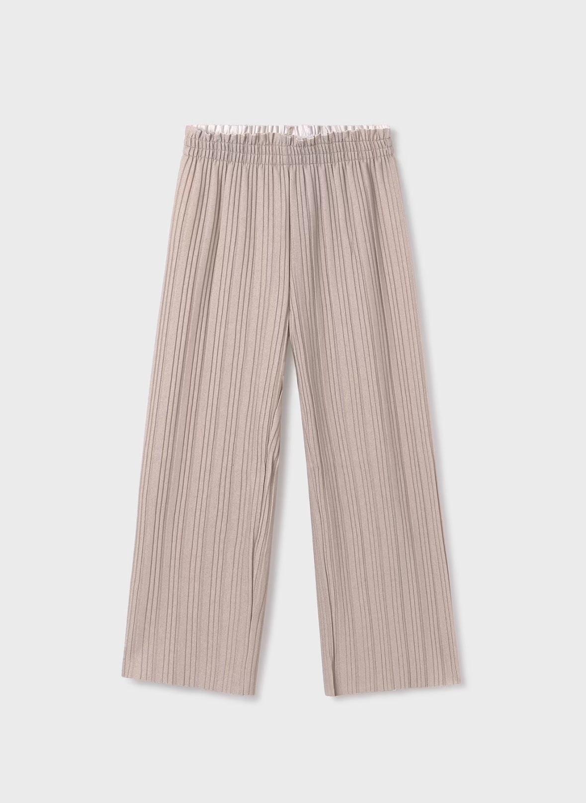 Pleated Pants