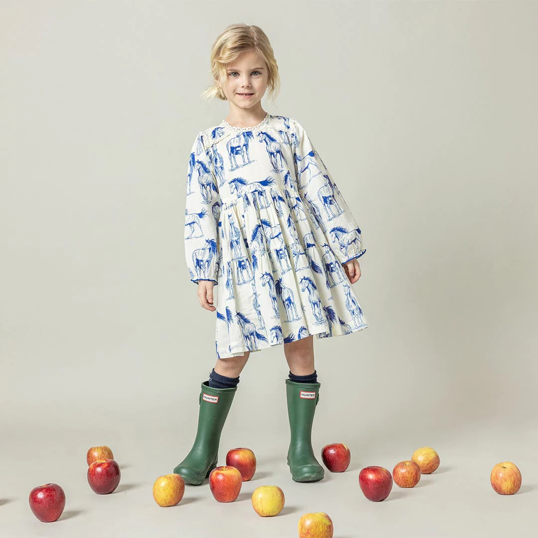 Blue Horses Charlie Dress