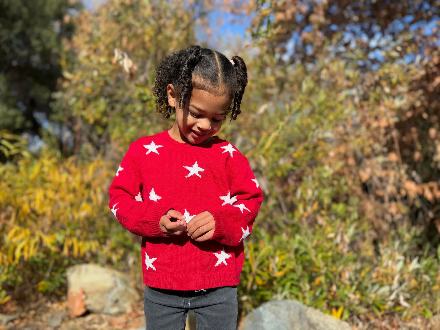 Red Star Knit Robyn Sweater