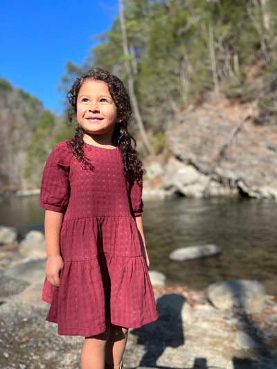 Maroon Alice Dress