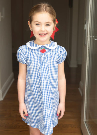 Back to School Apple Sage Smocked Dress