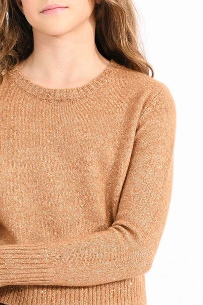 Camel Knitted Sweater with Iridecent Mesh