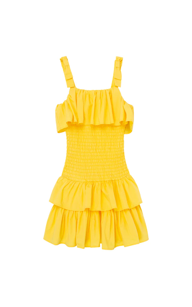 Yellow Ruffle Smocked Dropwaist Dress